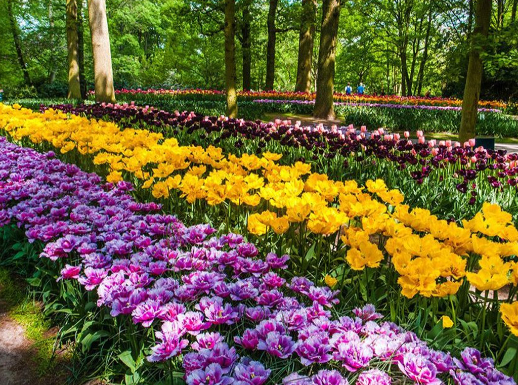 Dosti Greenscapes - CREDAI MCHI Virtual Property Expo Thane