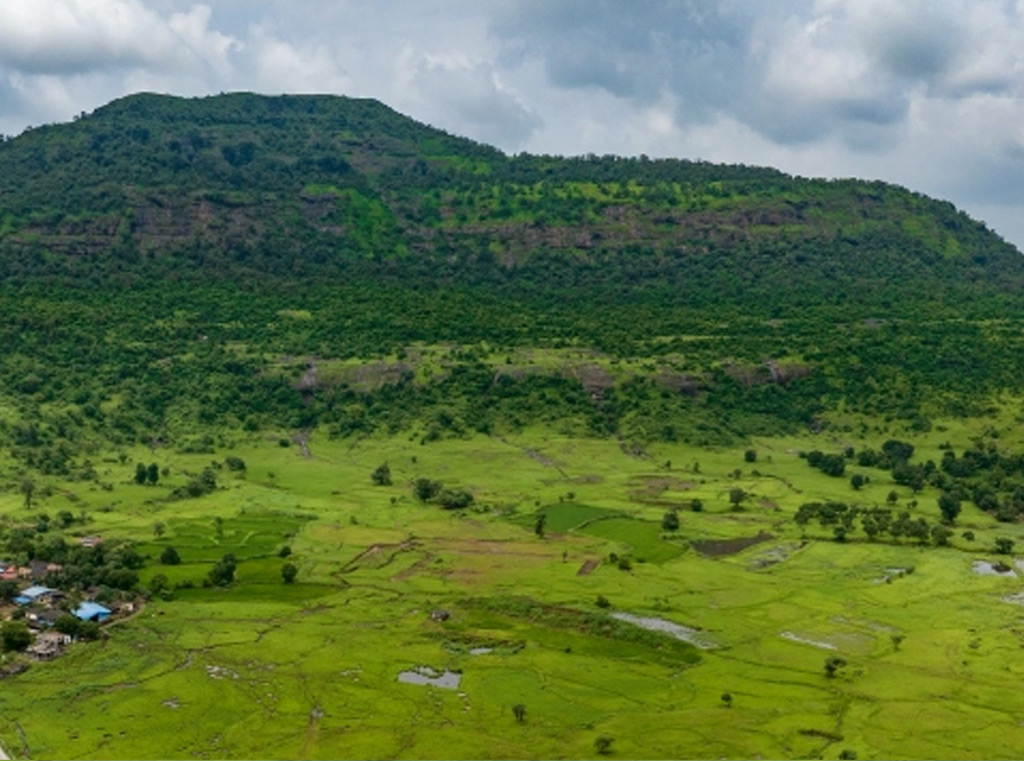 Kalpataru Aria - CREDAI MCHI Virtual Property Expo Thane